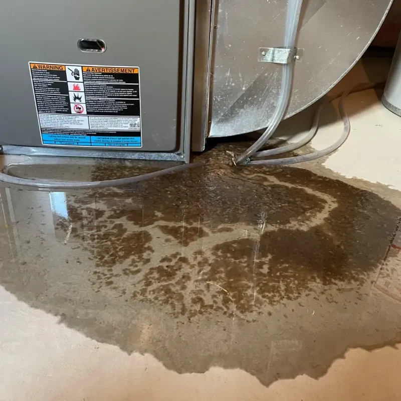 Appliance Leak Cleanup in Council, ID